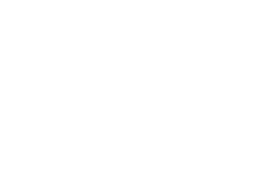 Holadoor